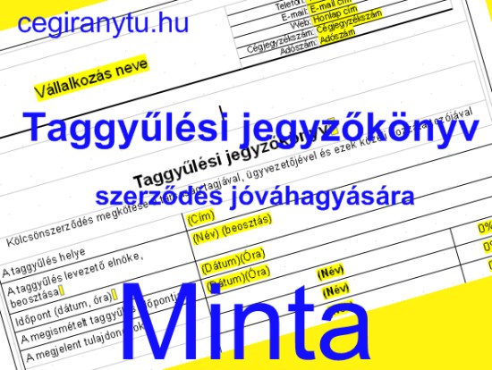 cegiranytu.hu az &uuml;zleti megold&aacute;sok t&aacute;rh&aacute;za